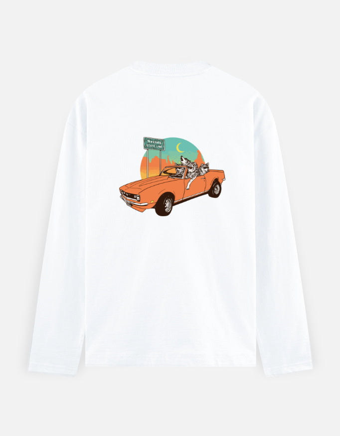 Back_2_c_1.jpg